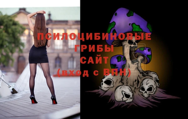 амф Бронницы