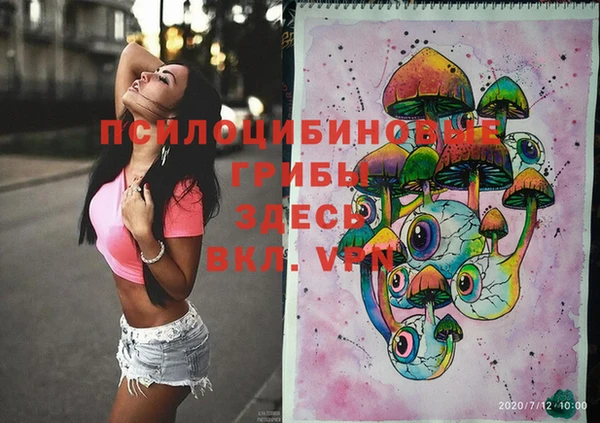 амф Бронницы