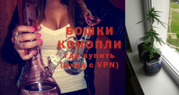 амф Бронницы