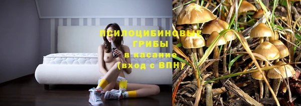 стаф Бугульма