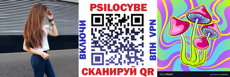 Псилоцибиновые грибы прущие грибы Купить закладки Дюртюли